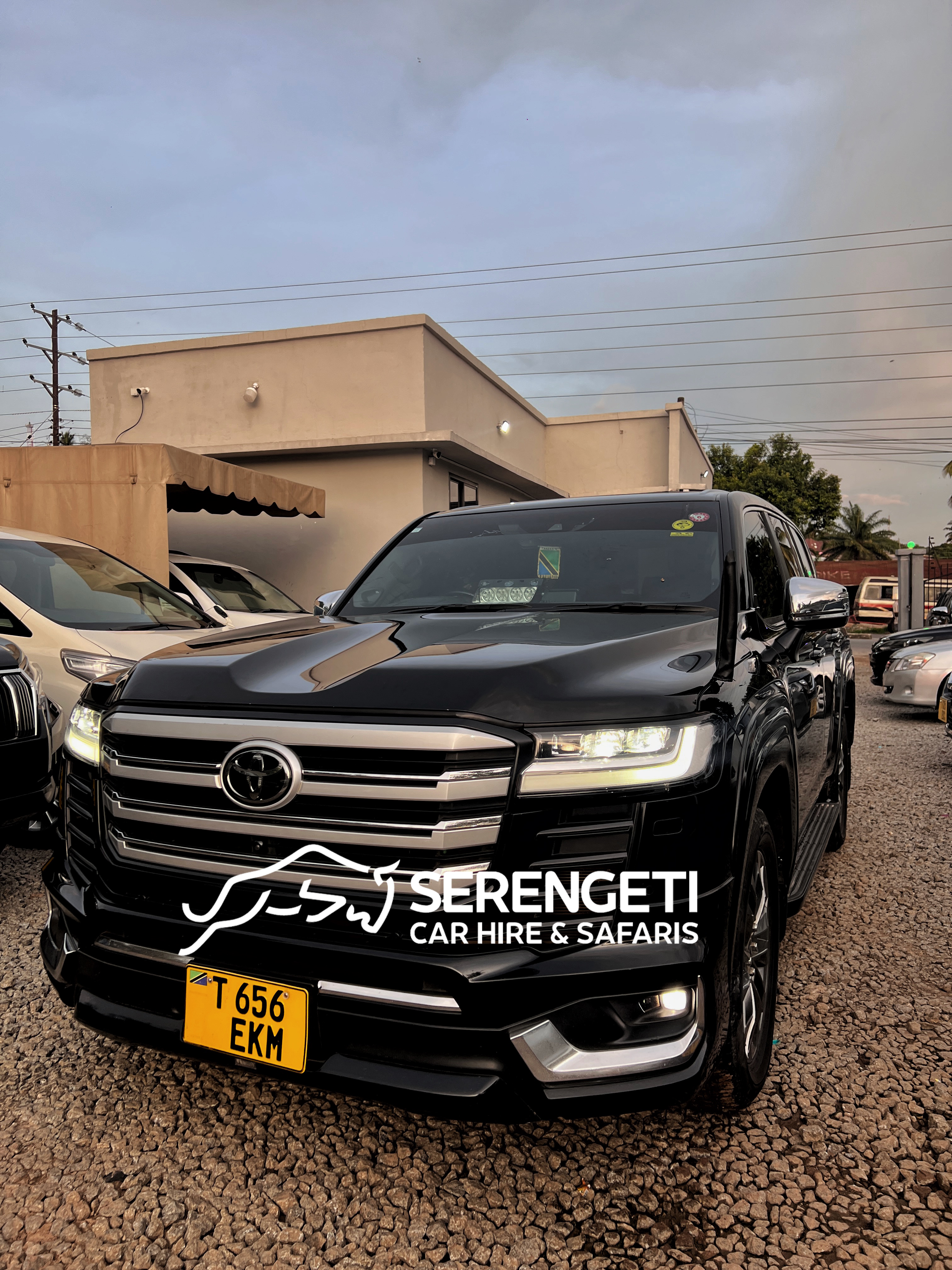 TOYOTA LANDCRUISER 300 ZX car for sale