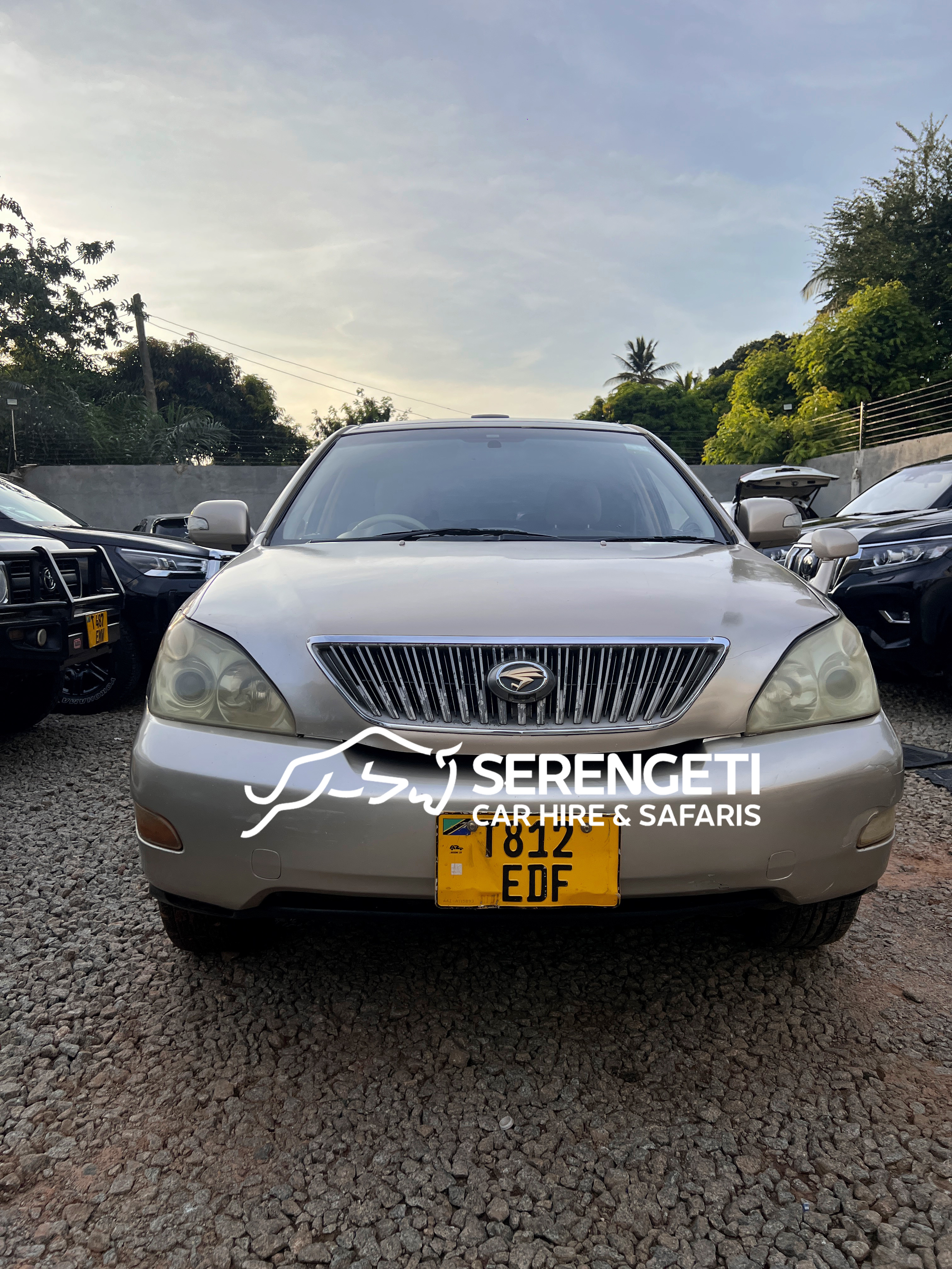 TOYOTA HARRIER car for sale